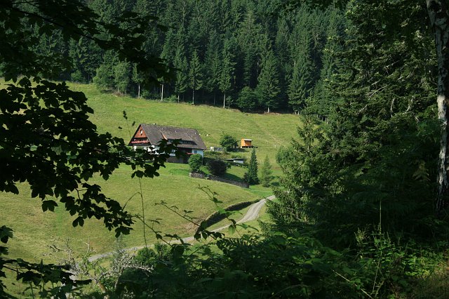 Glaswaldsee 2008 Bild 02